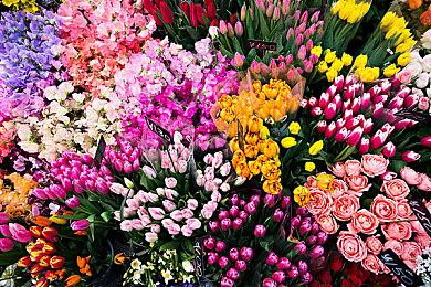 像素风动作益智新作《企鹅拳击》登陆Switch